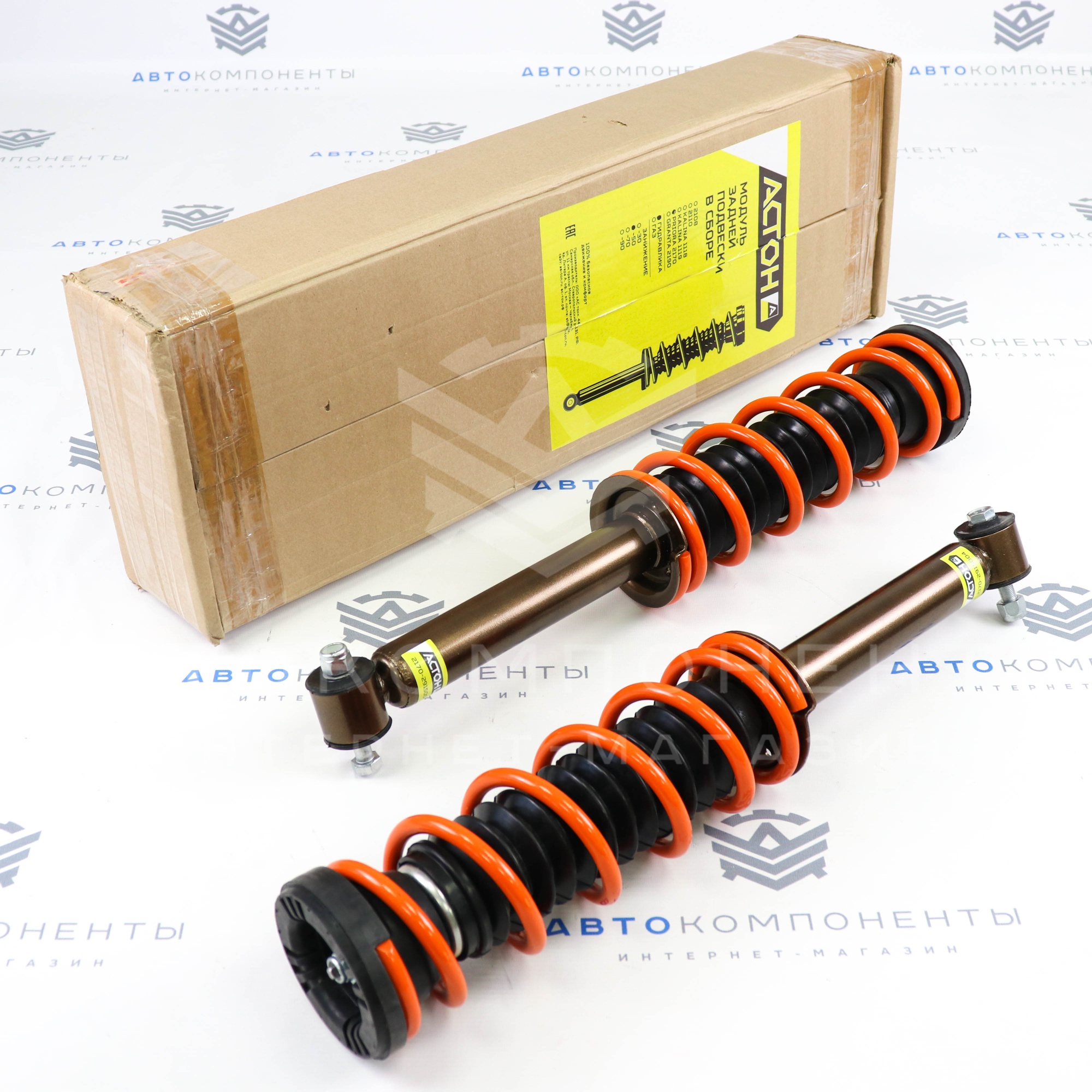 Модуль задней подвески "АСТОН" в сборе (с занижением -50мм)